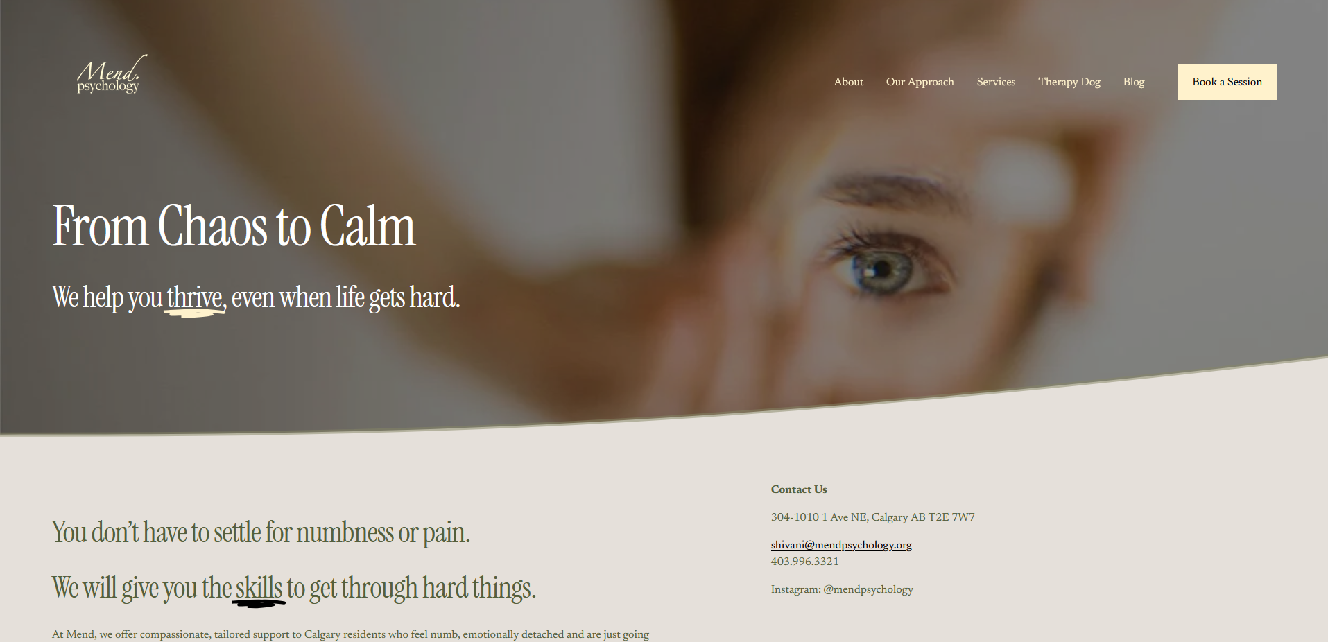 Professional services website example screenshot