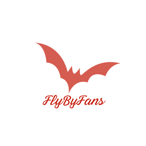 OnlyFans management, OnlyFans agency, FlyByFans agency