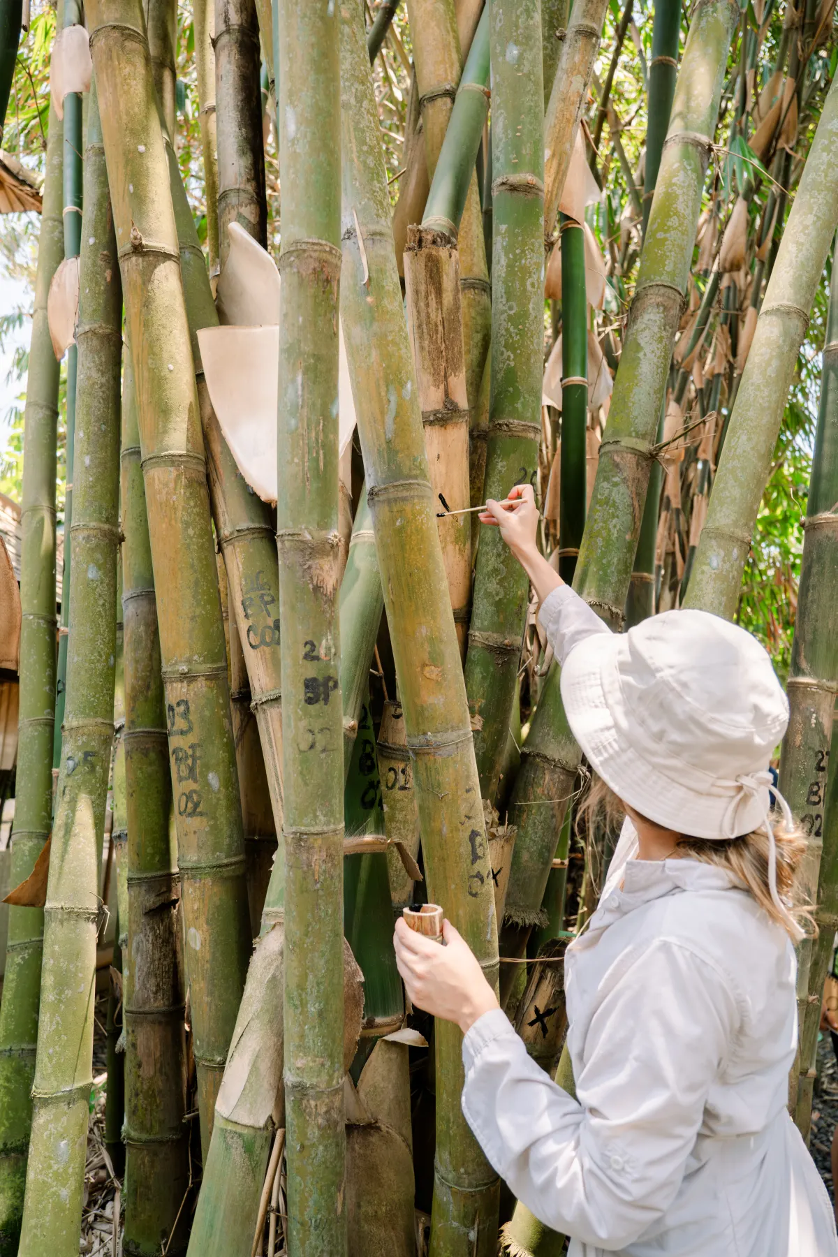 Bamboo U students building in Bali