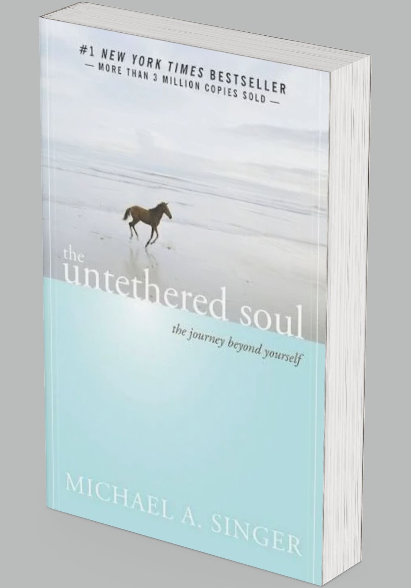 Olivia's book recommendation #3 Olivia's book recommendation #3