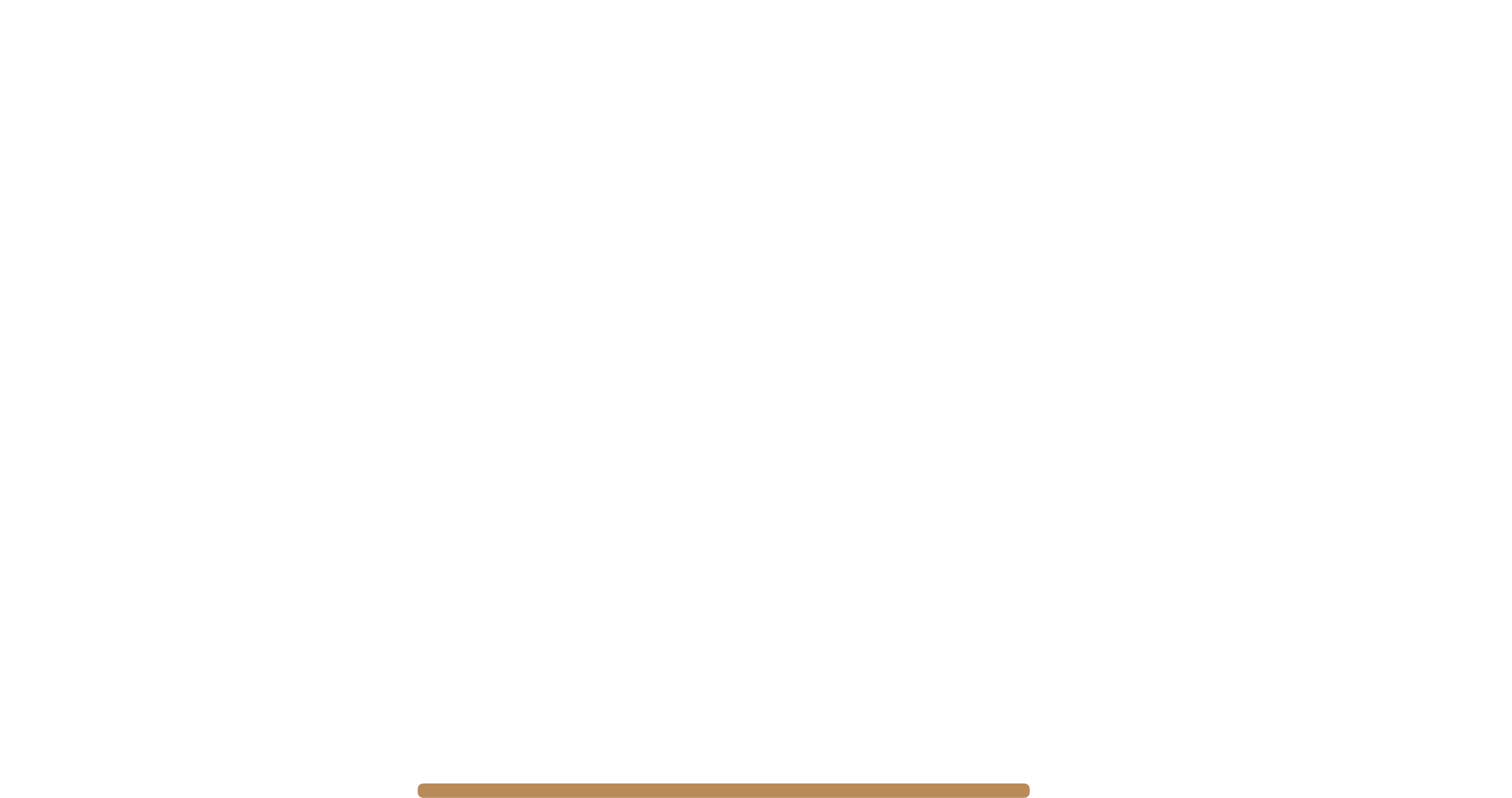 Nest hotography Logo