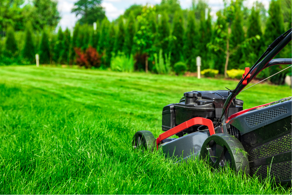 Lawn Care