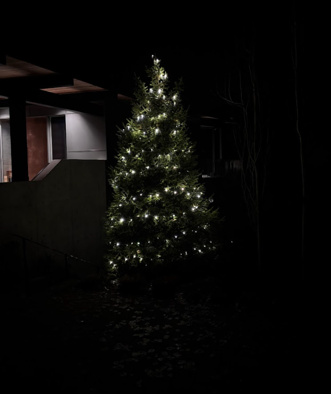 Holiday Exterior Lighting Whistler