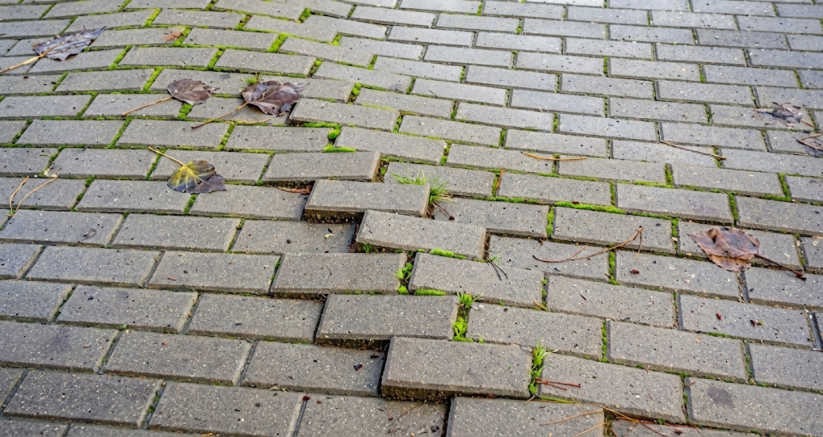 Worn uneven walkways Houston paver replacement