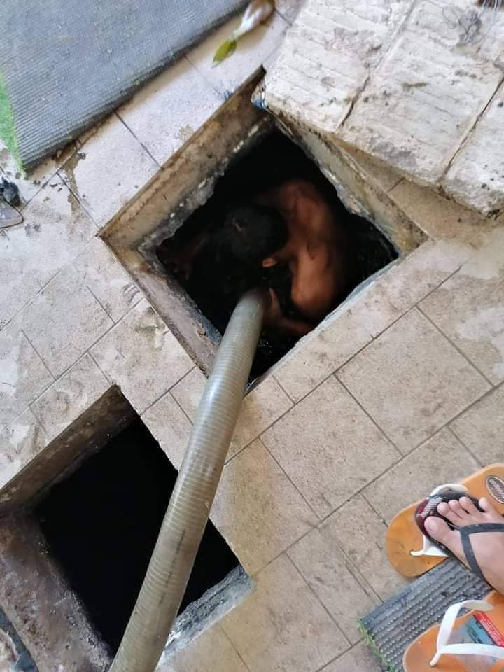 Manual Cleaning of Waste Water Treatment Plant Metro Manila