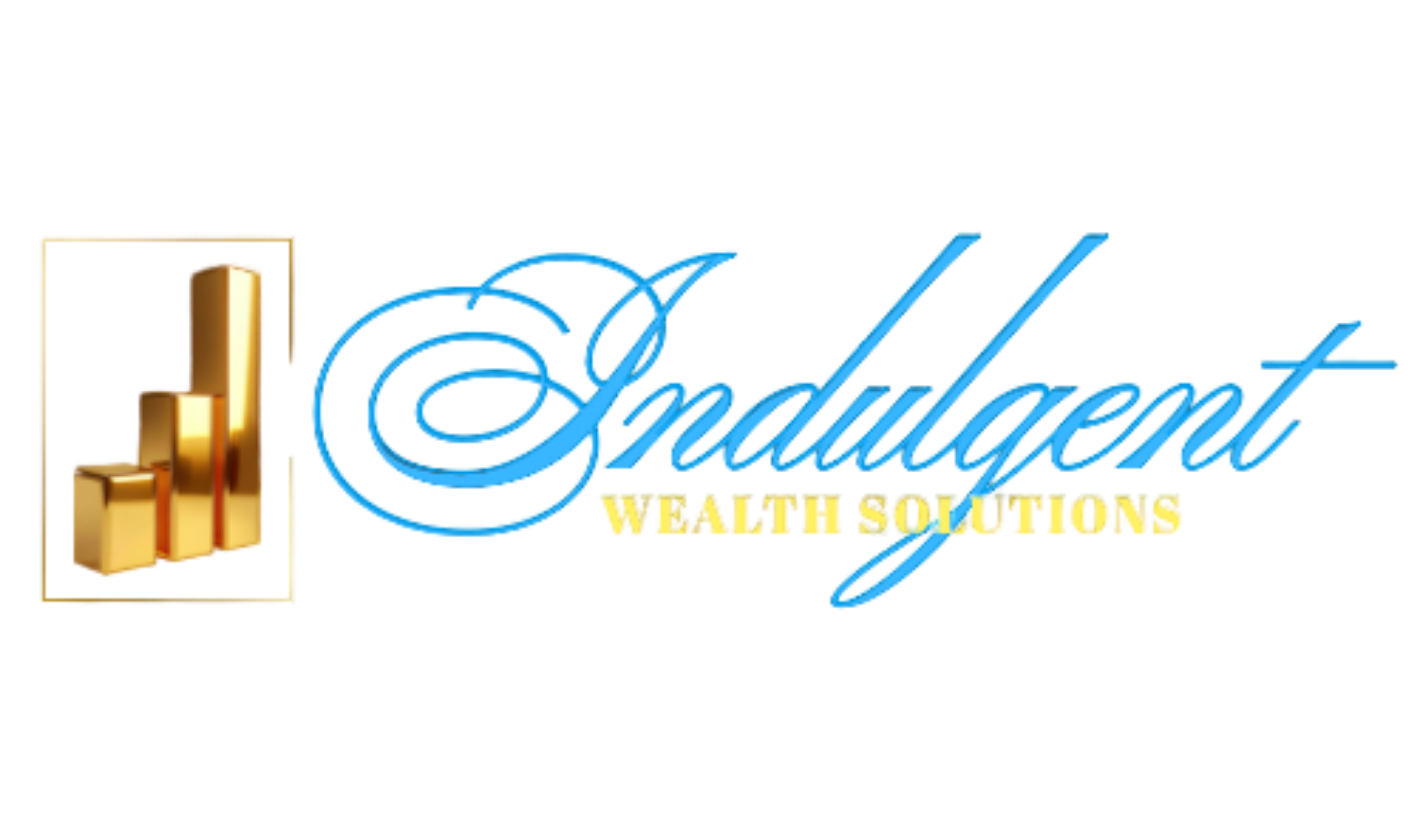 next level wealth financial services