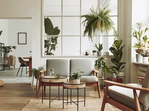 Window Solar Screens in Cibolo, TX