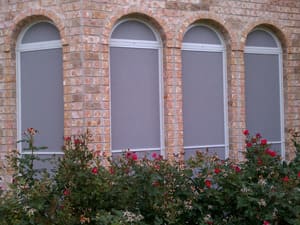 {{ custom_values.service_3 }} in {{custom_values.area_3})