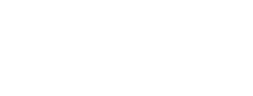 Bodhi School