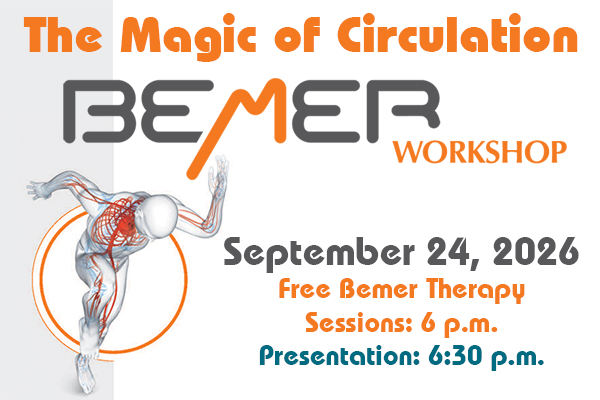 Bemer Workshop