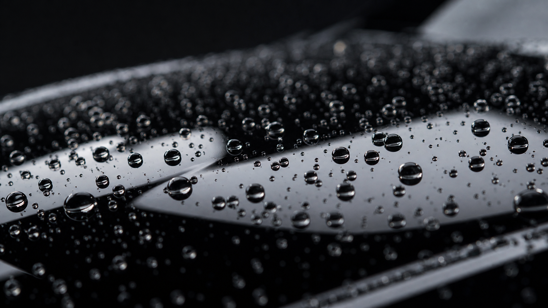 Ceramic coating water beading result — hydrophobic protection by My Detail Guys Fort Worth
