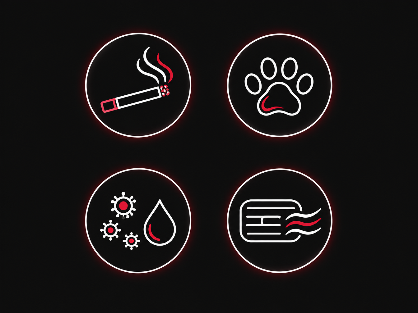 Car odor sources — cigarette smoke, pet odor, mildew, and the air system — Mildew & Odor Treatment at My Detail Guys Fort Worth