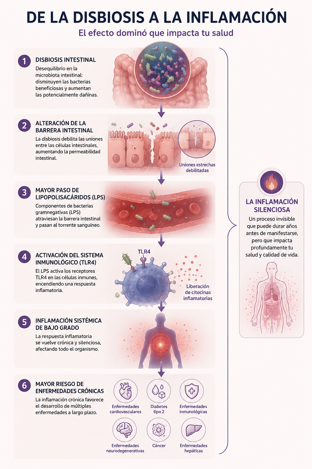 De la disbiosis a la inflamación
