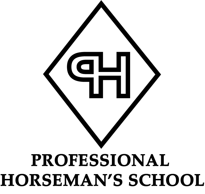 Professional Horseman s School professional-horseman-s-school