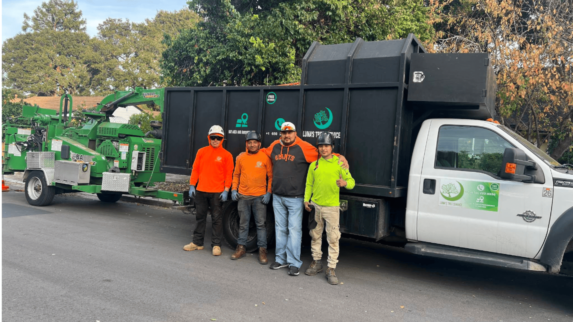 Tree Trimming in Palo Alto