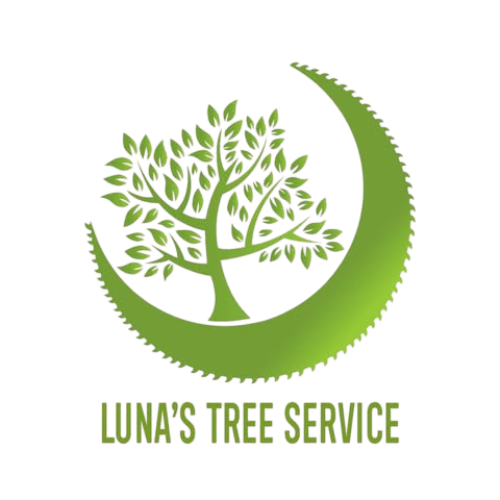 Tree Service Palo Alto