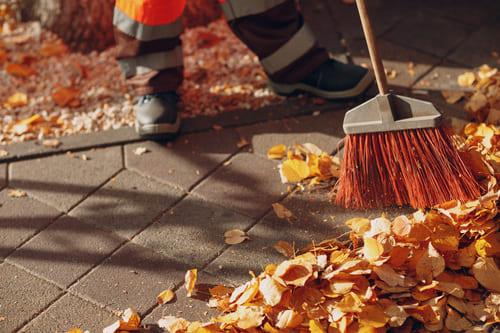 Fall Cleanups in Palo Alto