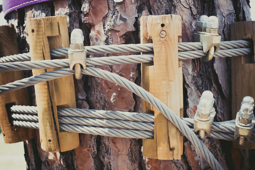 Stanford Tree Cabling