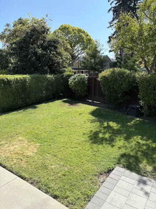 Stump Grinding Palo Alto