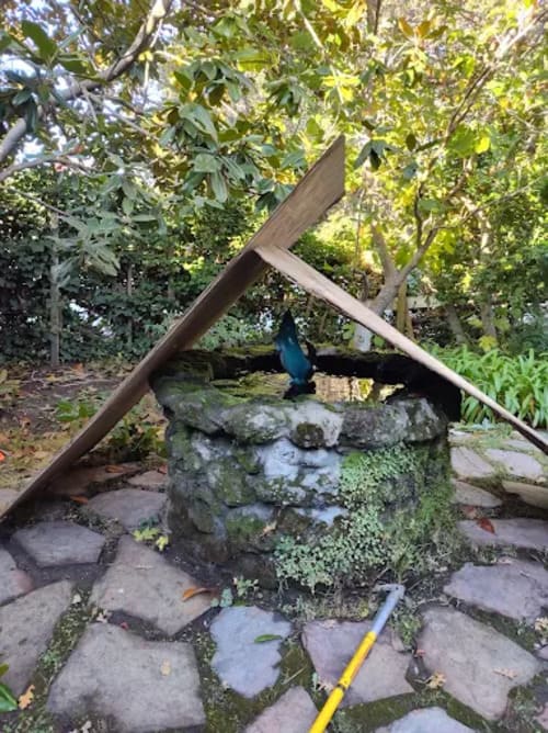 Fall Cleanups Palo Alto