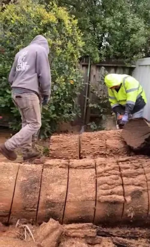 Tree Trimming Palo Alto