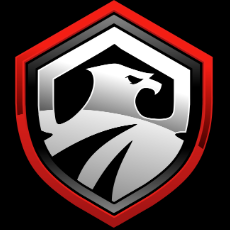 Security Guard Contracting Greater Houston Area