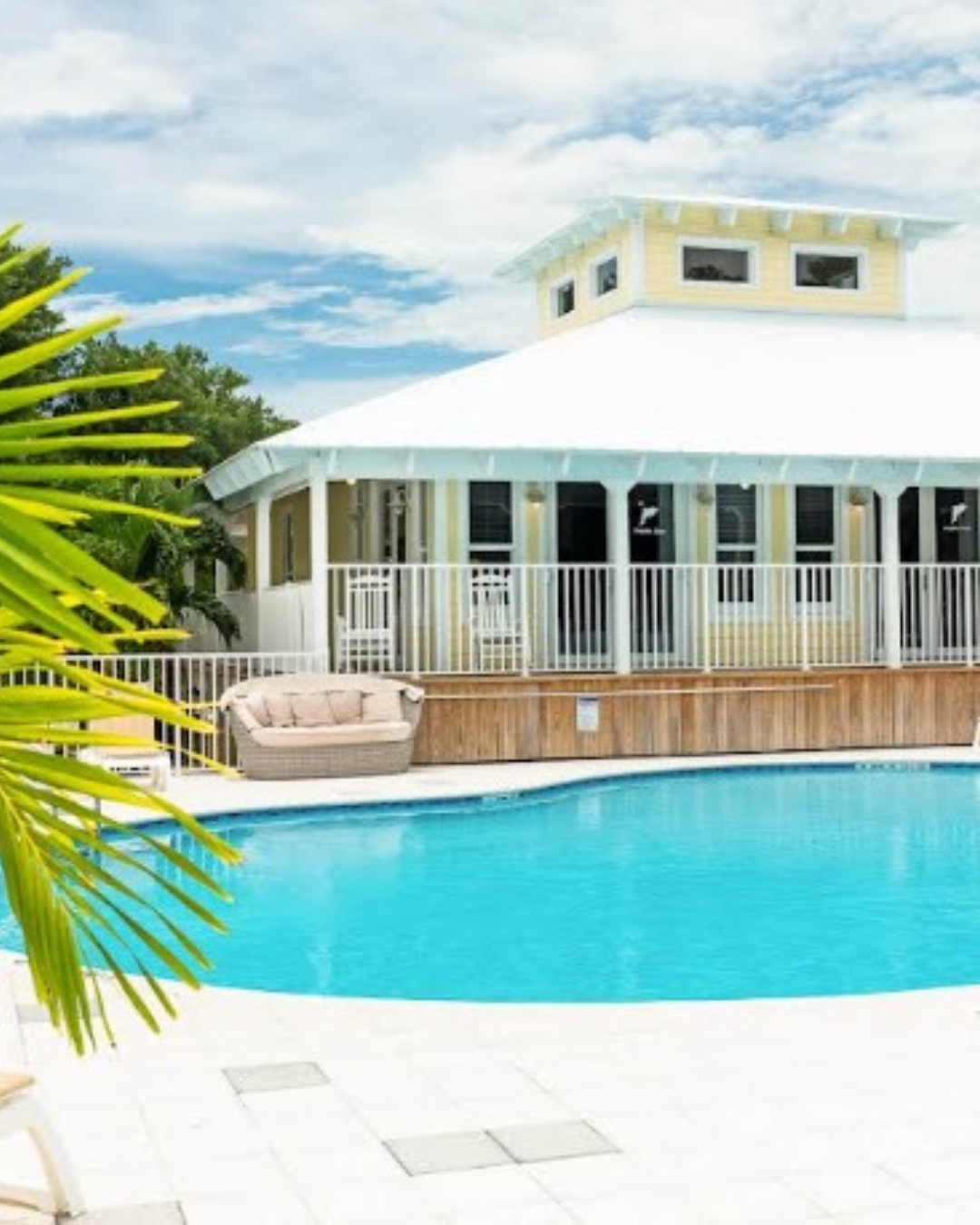 Dolphin Renewal Retreat 1