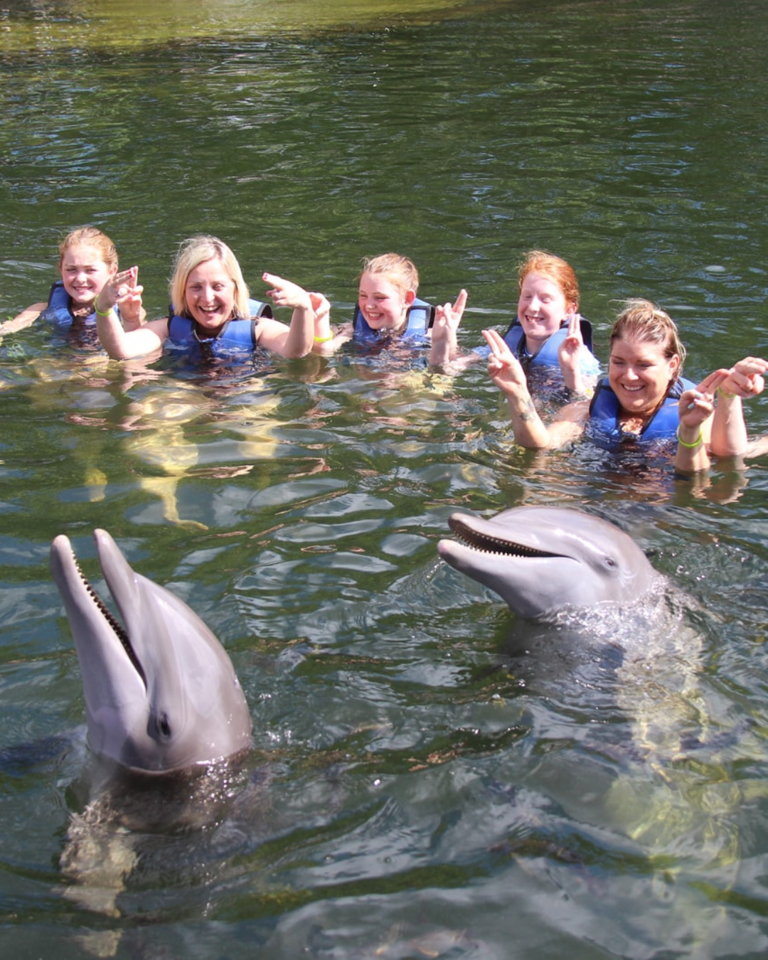 Dolphin Renewal Retreat 4