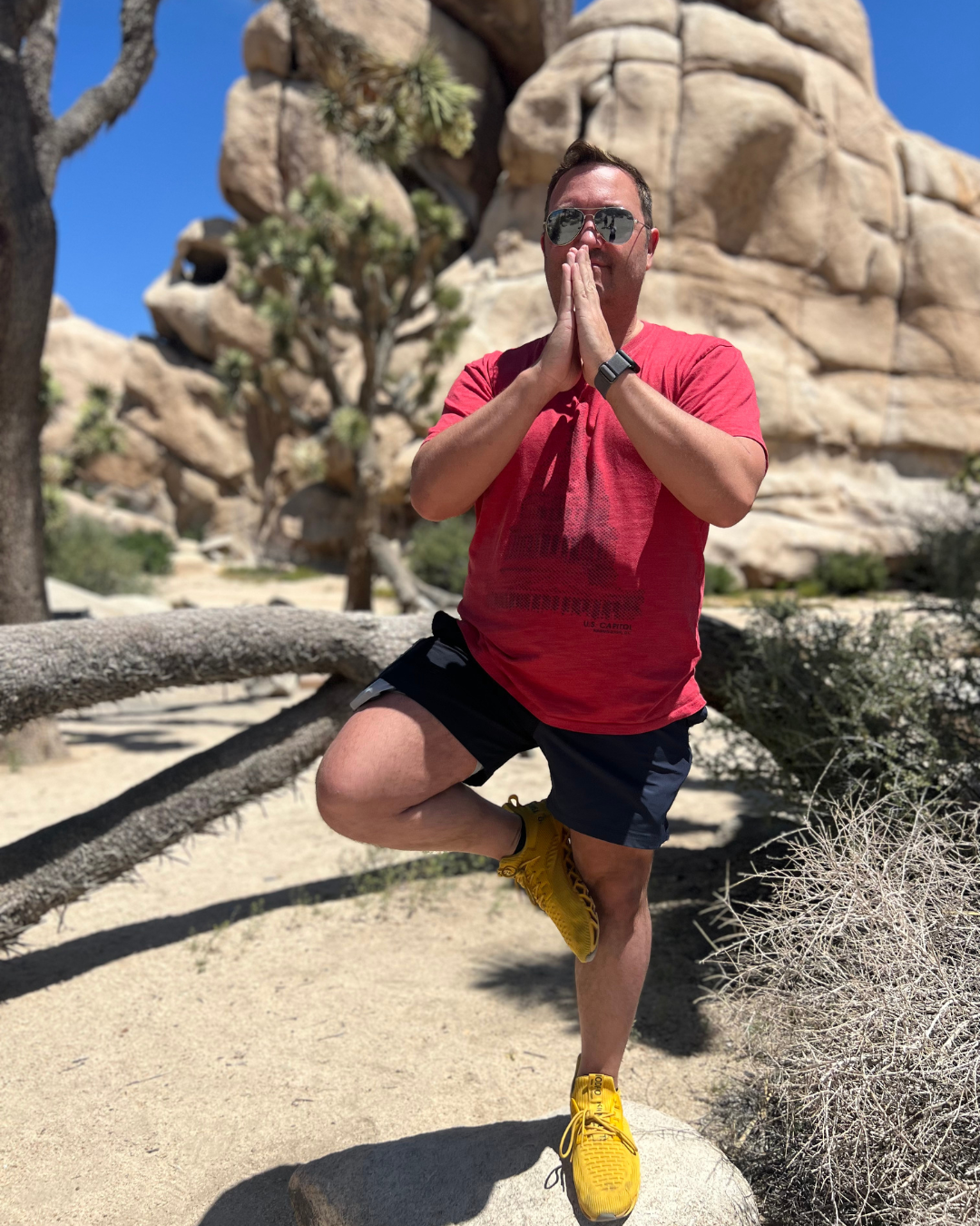 Owa He Palm Springs 4