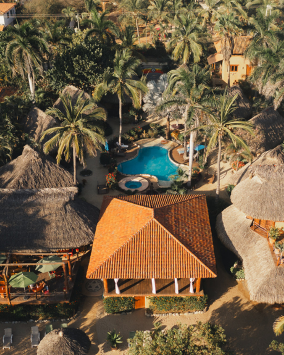 Wild Horizon Spring 1: Tropical retreat venue and pool
