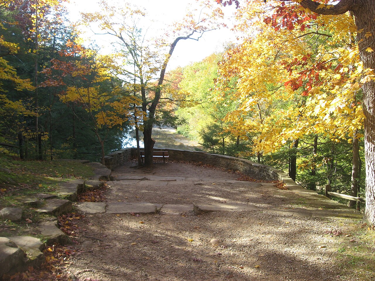 turkey run state park