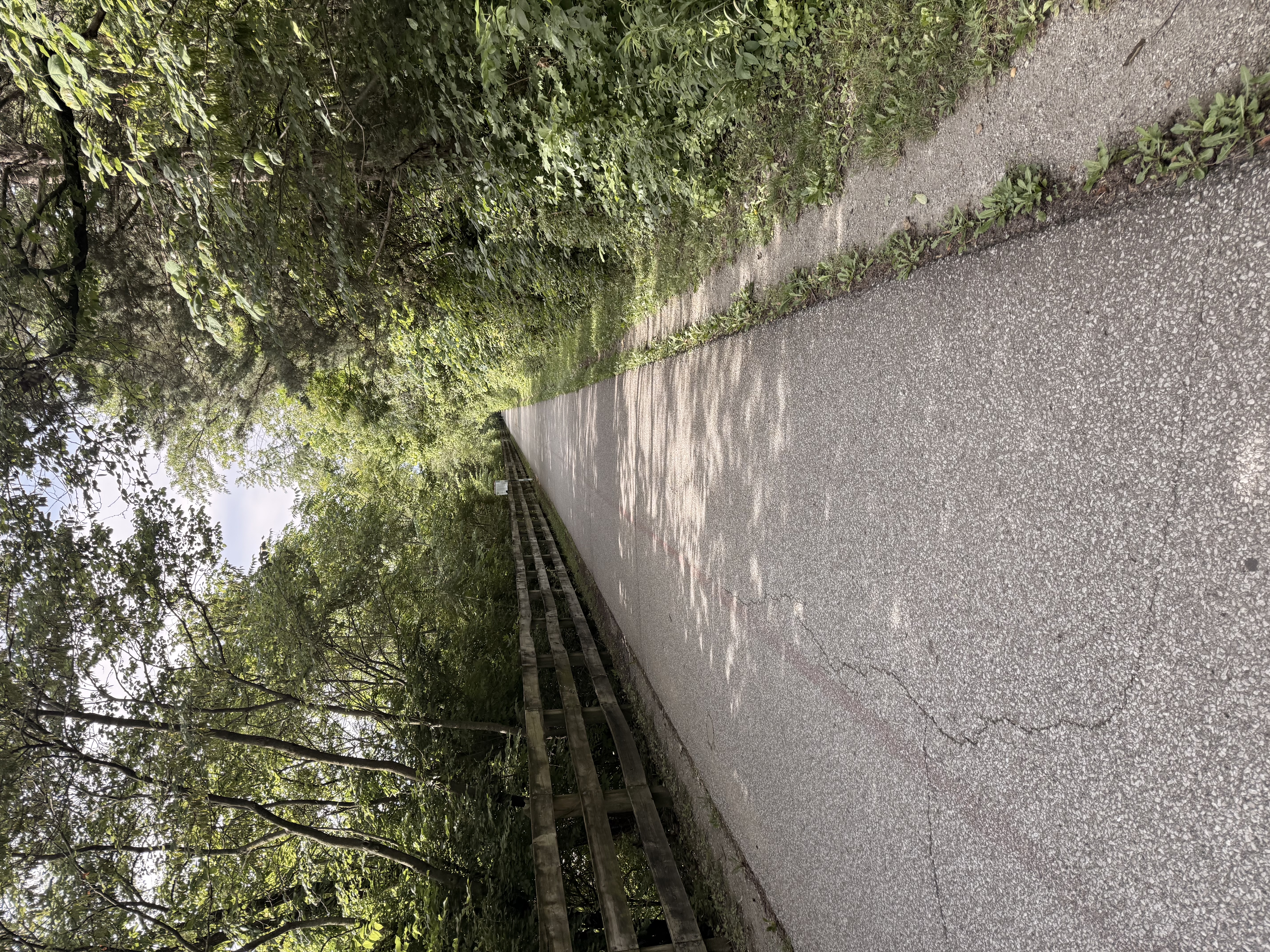 Indianapolis has beautiful greenway trails that give visitors a peaceful way to walk, bike, and explore beyond the busy downtown streets.