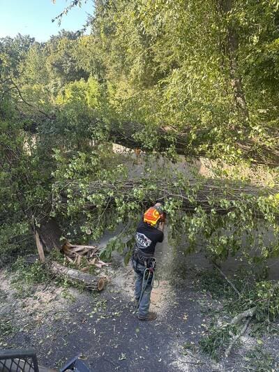 {{ custom_values.service_3 }} in {{custom_values.area_2})