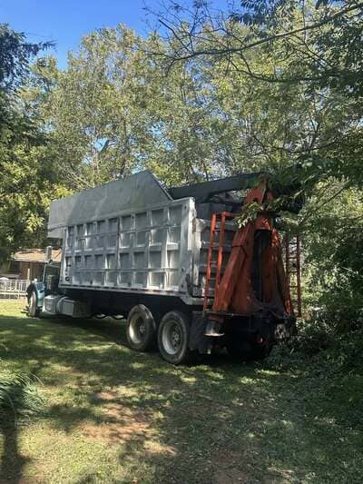 Tree care in Gaston County