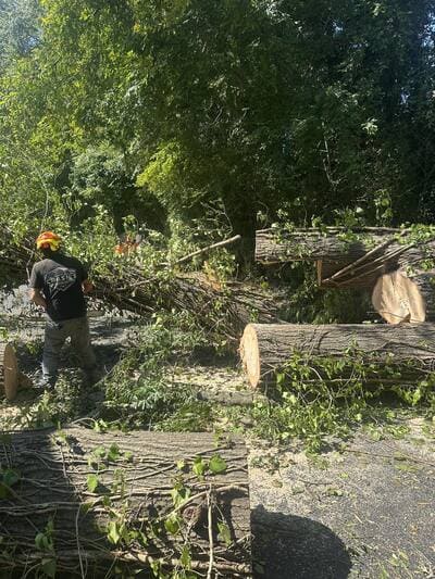 {{ custom_values.service_3 }} in {{custom_values.area_1})