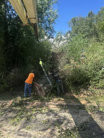 {{ custom_values.service_1 }} in {{custom_values.area_1})