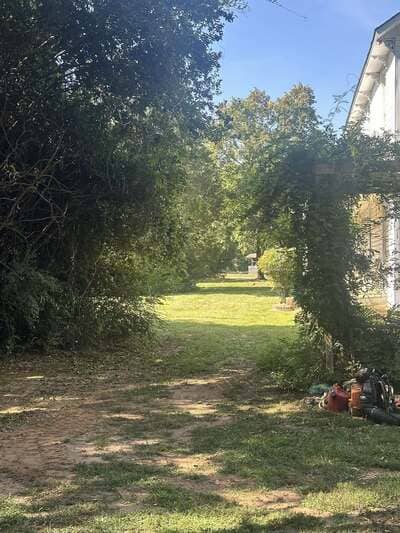 Tree trimming in York County