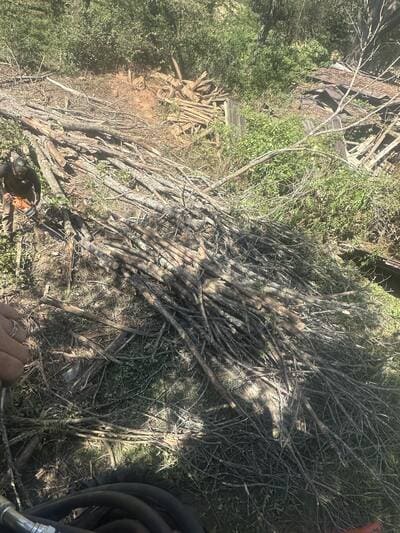 {{ custom_values.service_4 }} in {{custom_values.area_3})