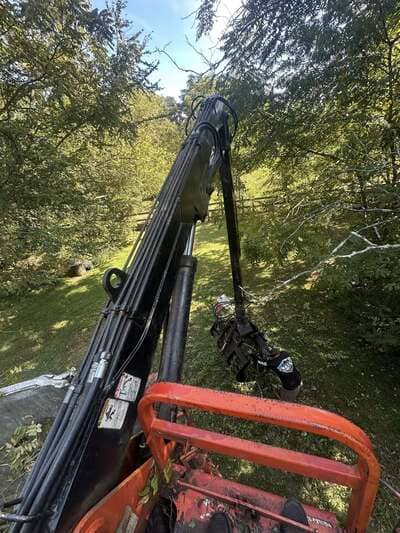 Pruning in York County