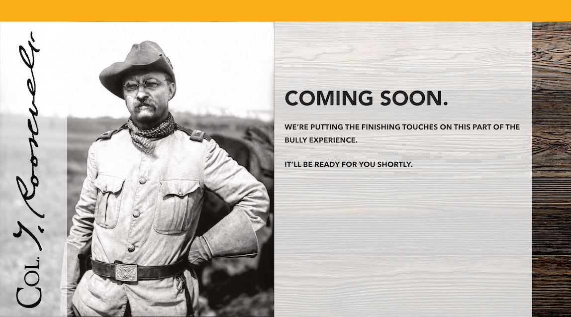 Theodore Roosevelt beside the message: Coming soon. We’re putting the finishing touches on this part of the BULLY experience. It’ll be ready for you shortly.