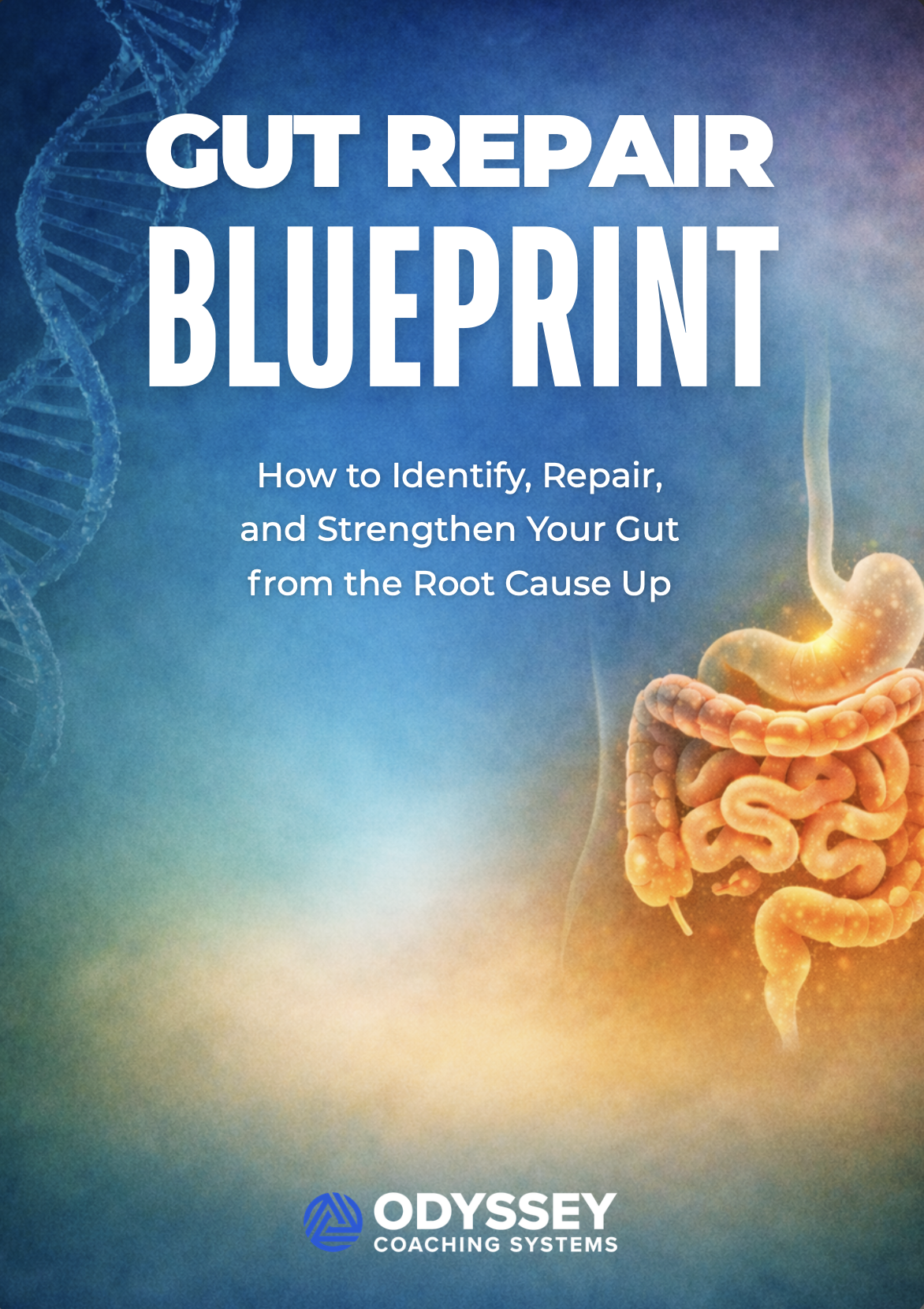 Gut Repair Blueprint cover