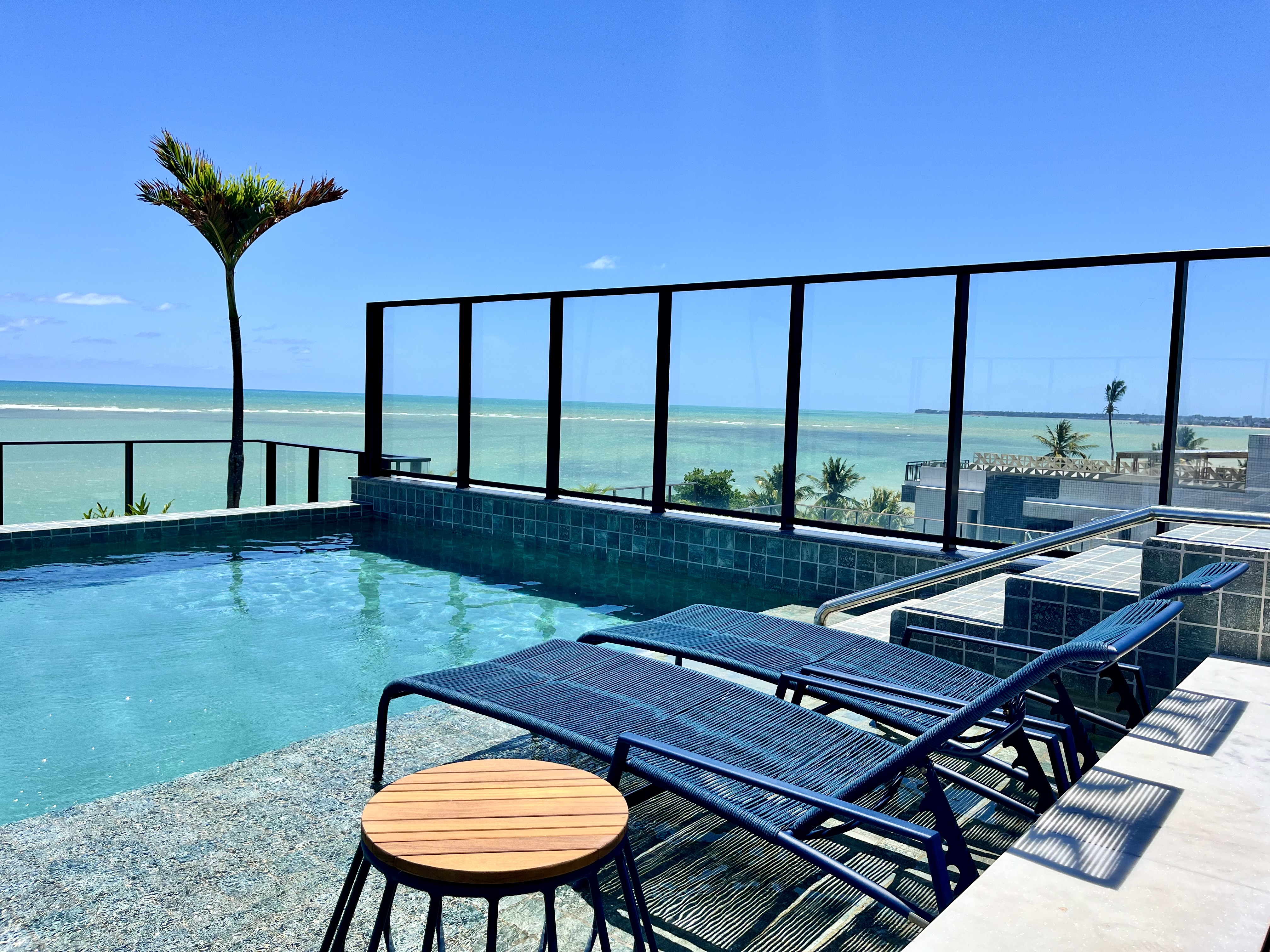 Piscina rooftop com palmeira e vista panorâmica