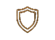 Shield icon representing Stewardship