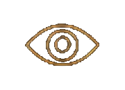 Fingerprint icon representing Identity