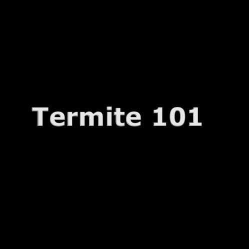 termite treatment article