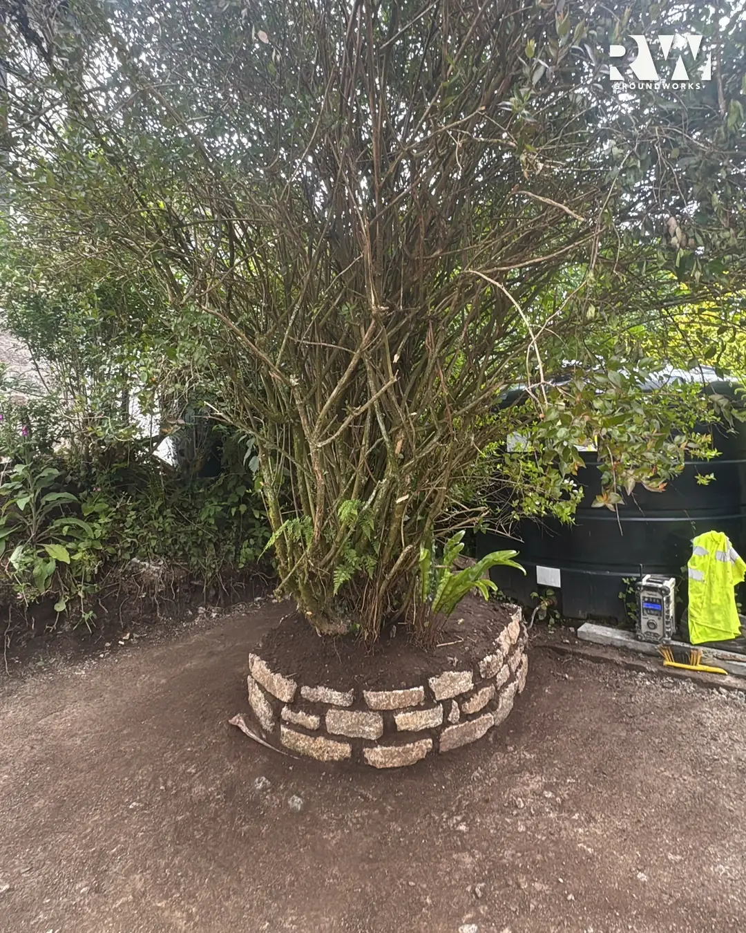 New stone planter built around a tree in the garden in Wendron