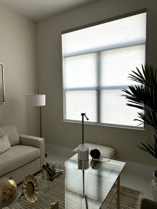 Living room with Roller and Solar Shades