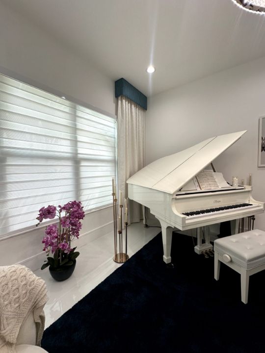 Music room with Zebra Roller Shades