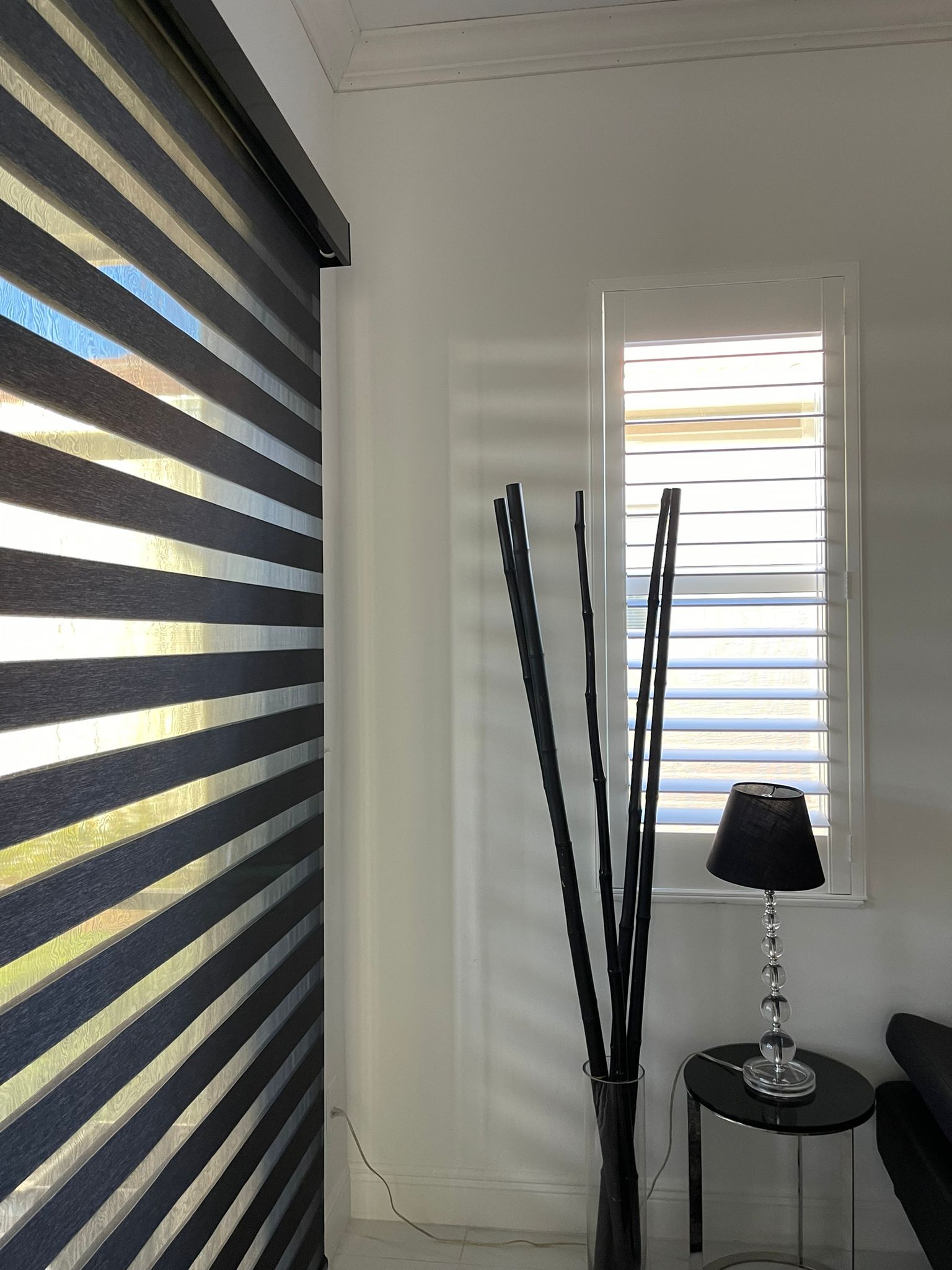 Dark zebra shade close-up beside plantation shutters