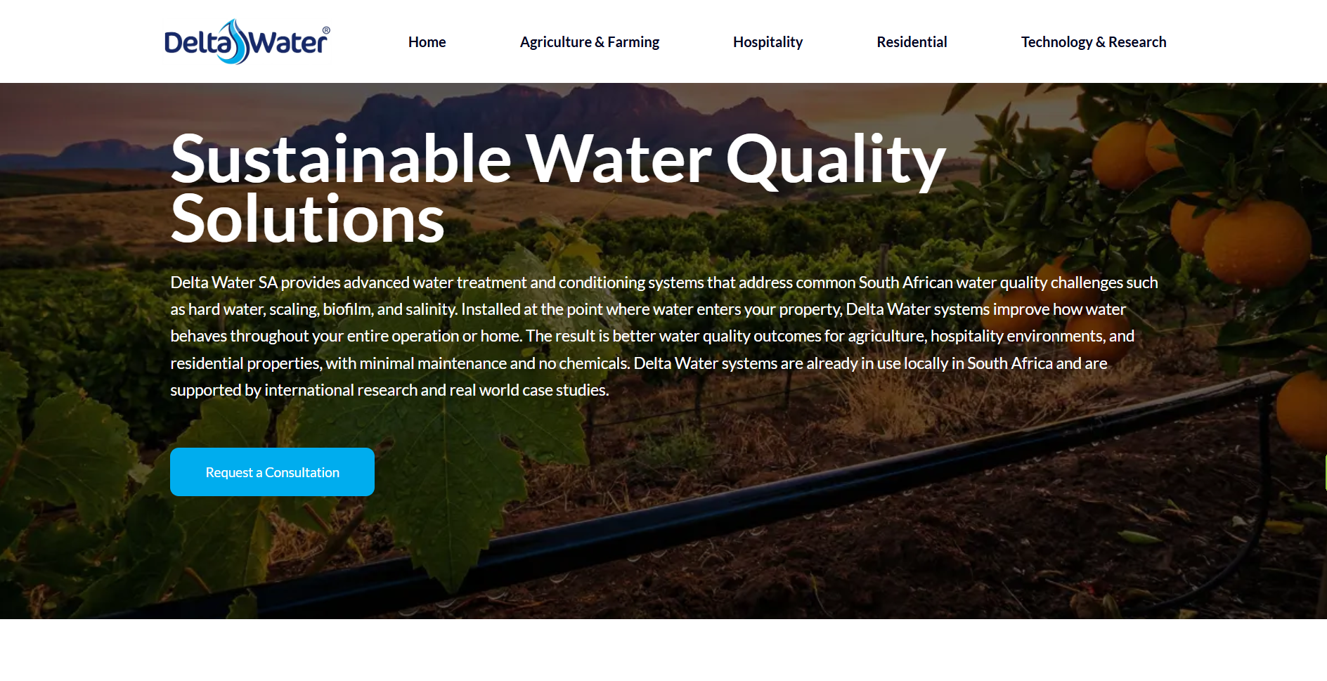 Delta Water SA website portfolio entry